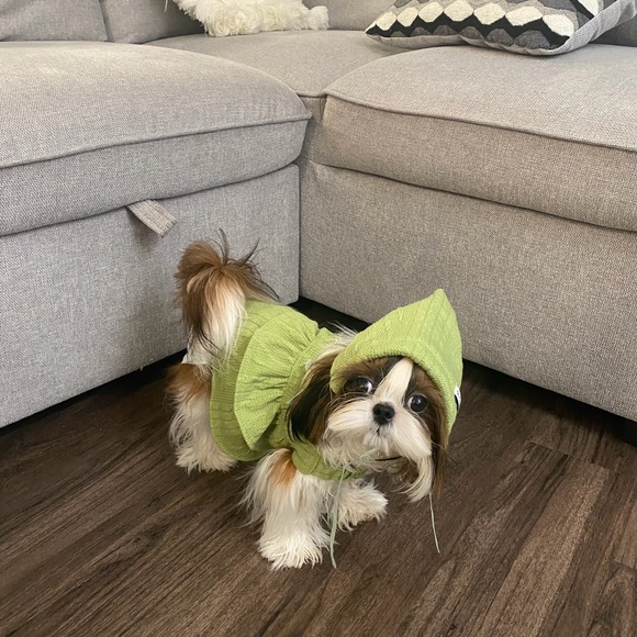 Meet your Posher, Rey - Picture 7 of 11